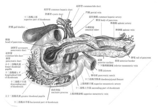 clip_image002